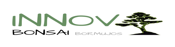 Logo de Innova Bonsái, tienda de bonsáis en Bormujos