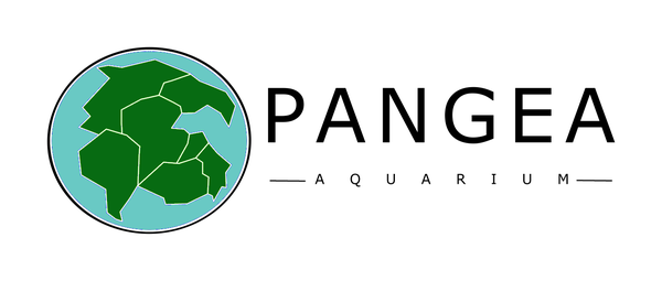 Logo de Pangea Aquarium, tienda de acuariofilia en Mairena del Aljarafe